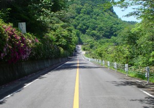 スケッチやデッサンを描きたいが形が合わない。あなたの脳は騙されていませんか?