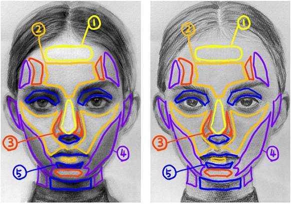 一目で違いがわかる 人物画のデッサンで大事な明暗の付け方 解説し