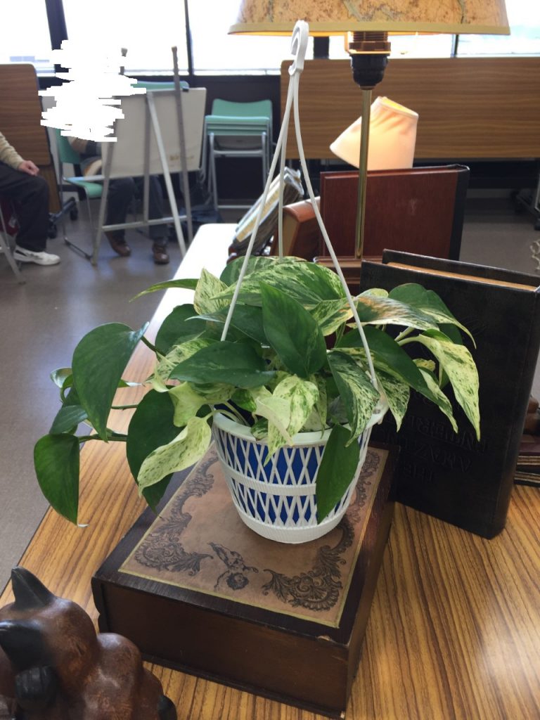 ピリカアートスクール