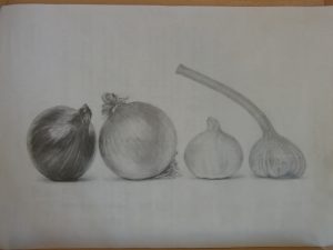 ニンニクと玉ねぎのデッサン添削