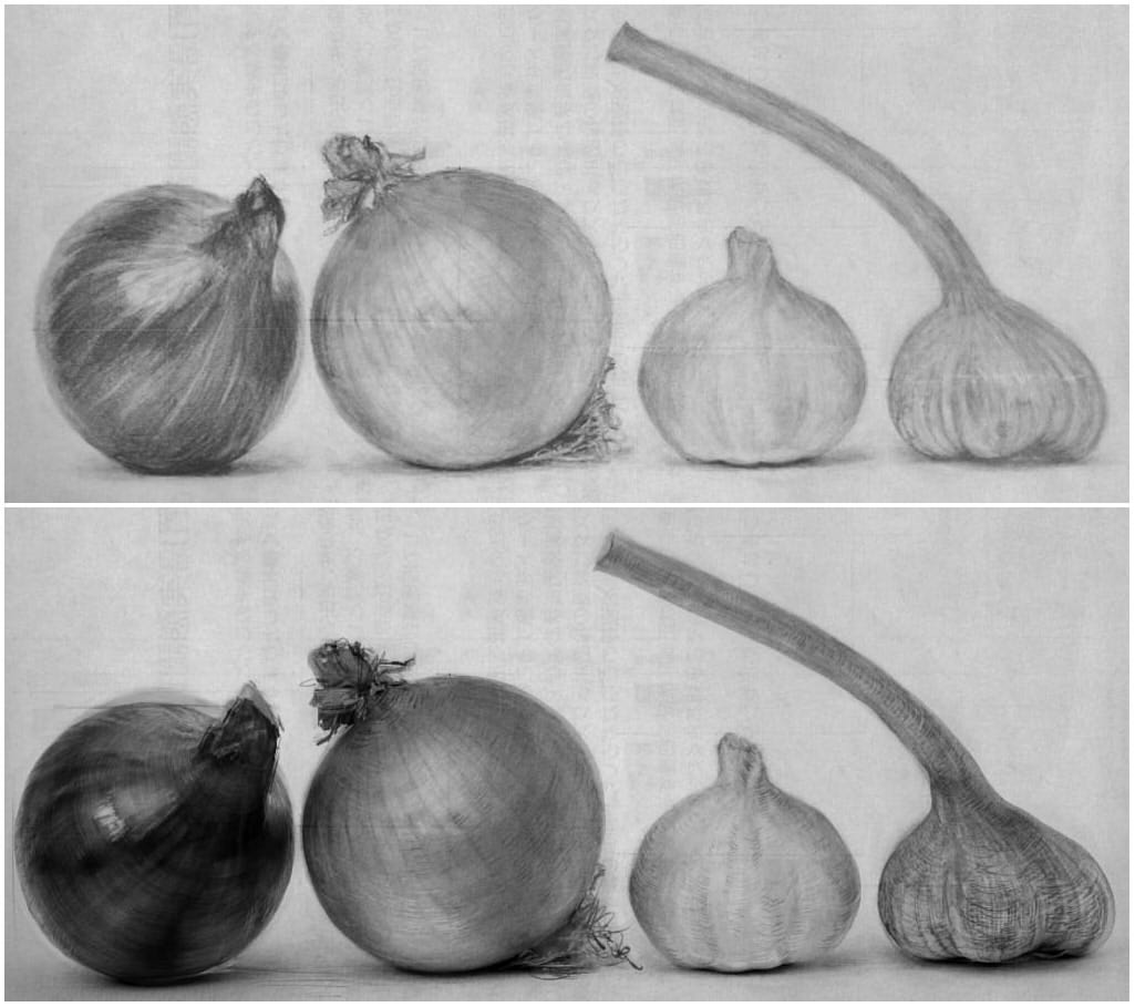 玉ねぎの鉛筆画 静物画玉ねぎ