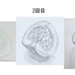 【受講生デッサン作品】わずか3回の添削アドバイスで一気に上達いたしました!