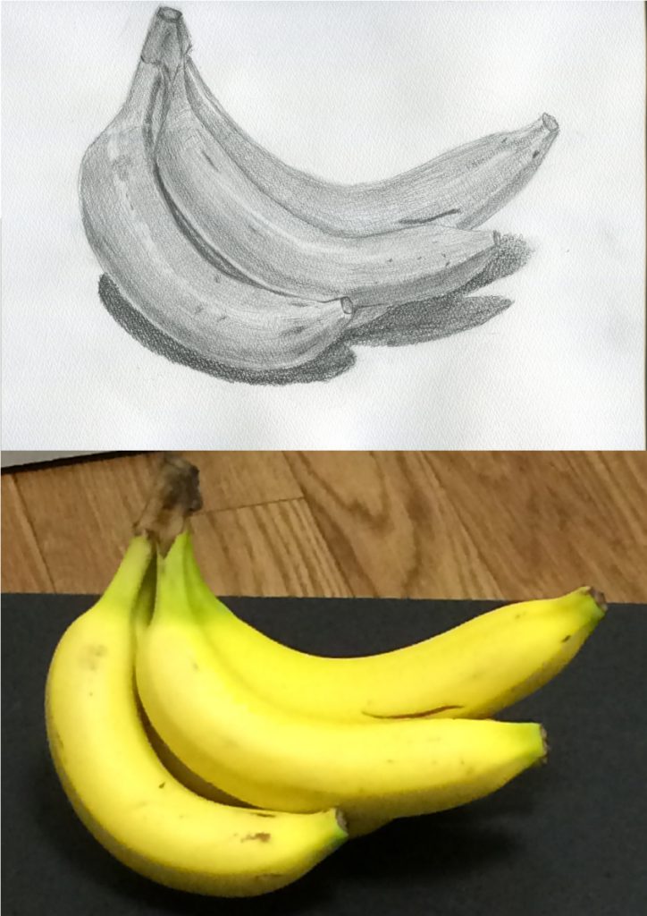バナナのデッサン　