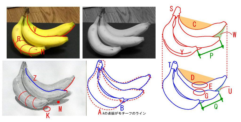 バナナのデッサン