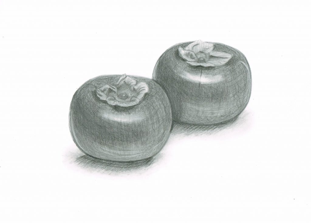 【ピリカアートスクール】デッサン 添削アドバイス