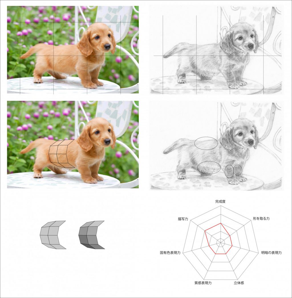 ビジネスデッサン技能検定 面で立体感を表現するとは 骨格を知ることと同列です ピリカアートスクール