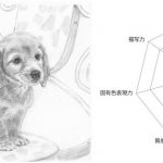 【ビジネスデッサン技能検定】面で立体感を表現するとは、骨格を知ることと同列です!