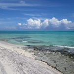 琉球大学@沖縄で学生さんたちへ「創造性」を感じるためのデッサン講義