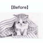 【ビジネスデッサン技能検定】ここまで変わる!子猫の明暗のつけ方を動画で解説いたします!