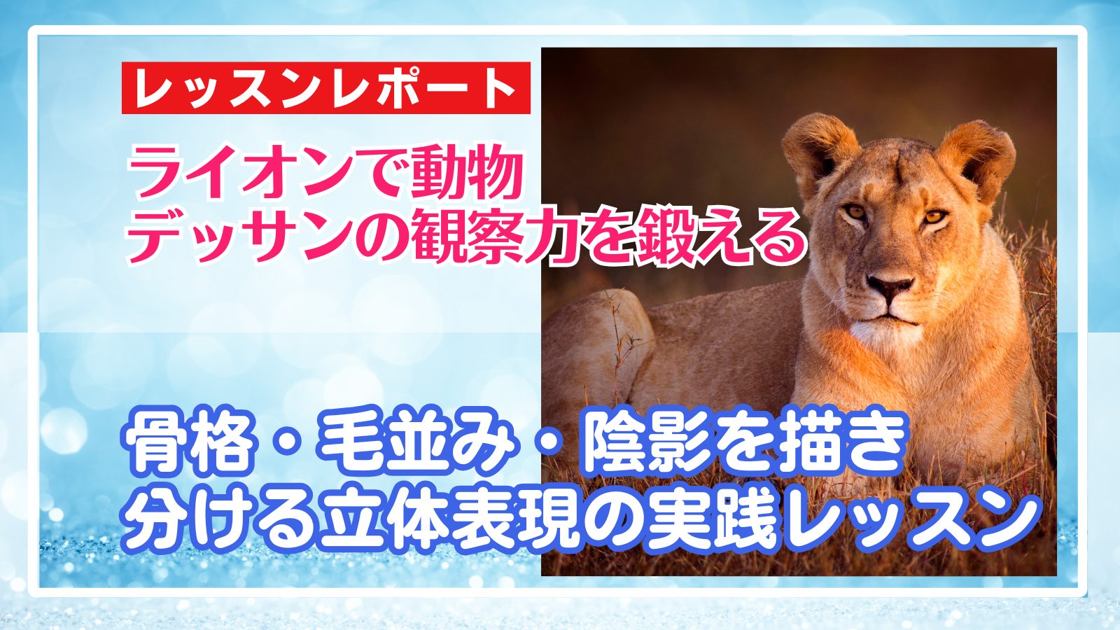 7/6 ライオンで動物デッサンの観察力を鍛える!骨格・毛並み・陰影を描き分ける立体表現の実践レッスン!